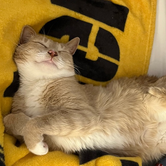 Kimberly is live! Come hang! Yeehaw Yeehaw! 🤠❤️ - Picture 15 of 16